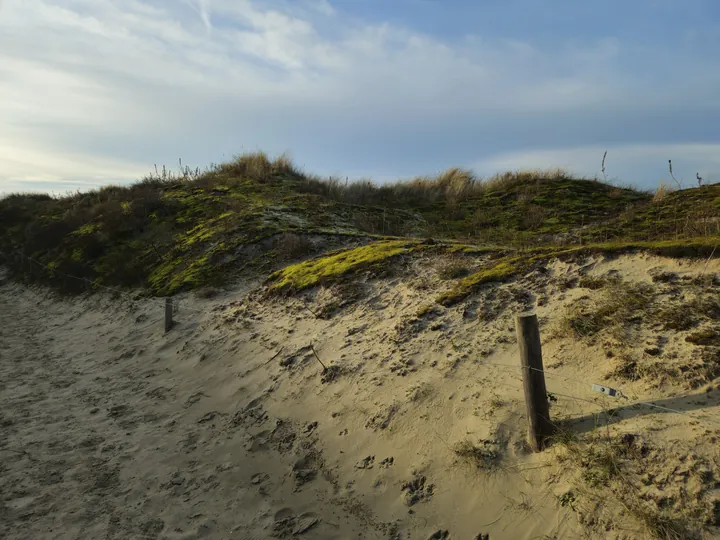 Oostnieuwkerke duinen wandeling in de koude (België)